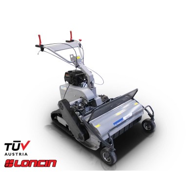 Βενζινοκίνητος καταστροφέας...