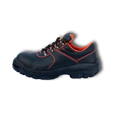 FT ΣΚΑΡΠΙΝΙ ΕΡΓΑΣΙΑΣ S1P...