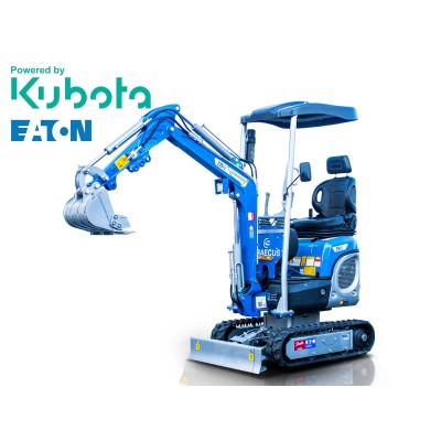 Μικρός ερπυστριοφόρος...