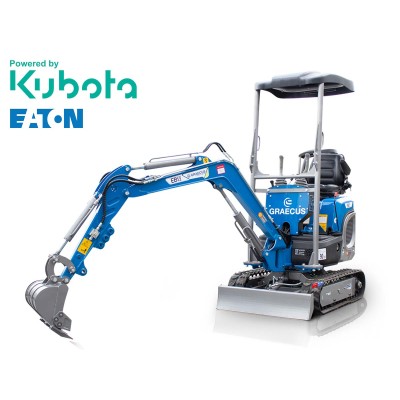 Μικρός ερπυστριοφόρος...