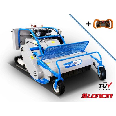 Τηλεκατευθυνόμενος...