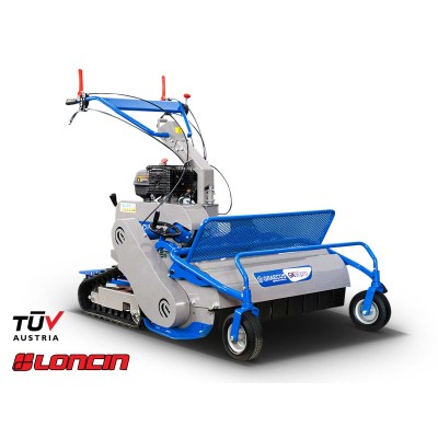 Βενζινοκίνητος καταστροφέας...